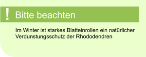 rhododendren_pflege_tipp.png